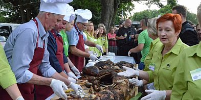 Dzień Kiernozkiego Dzika 2025 przełożony  -328101