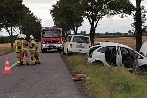 Poważny wypadek w Goleńsku pod Łowiczem. Poszkodowana 17-latka -328152