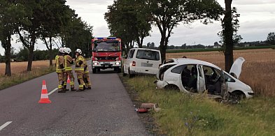 Poważny wypadek w Goleńsku pod Łowiczem. Poszkodowana 17-latka -328152
