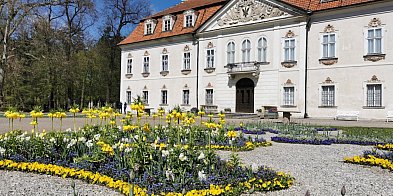 Zwiedzaj Nieborów z przewodnikiem już w lipcu-328124