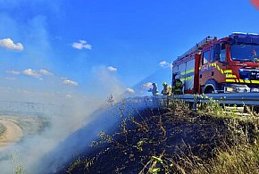 Strażacy z OSP KSRG Łyszkowice gasili płonące trawy-328488