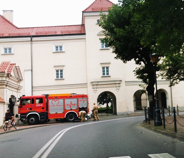 Łowicz. Szerszenie na terenie muzeum – interwencja straży pożarnej-328691
