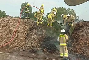 Nie zgadniecie, co płonęło. Nie rżysko, nie trawy i nie słoma-329115
