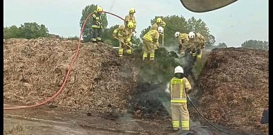 Nie zgadniecie, co płonęło. Nie rżysko, nie trawy i nie słoma-329115