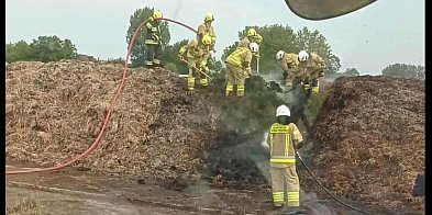 Nie zgadniecie, co płonęło. Nie rżysko i nie słoma-329115