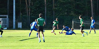 Pelikan - jeden do tyłu, drugi do przodu-329322
