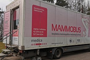 Mammobus odwiedzi Stryków. Skorzystaj z bezpłatnych badań-329423