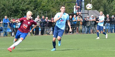Boruta niestraszny Pelikanowi-329627