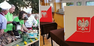 Czy udało się zachować bezstronność podczas Dnia Dzika -329649