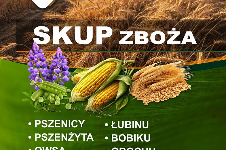 zdjecie ogloszenia