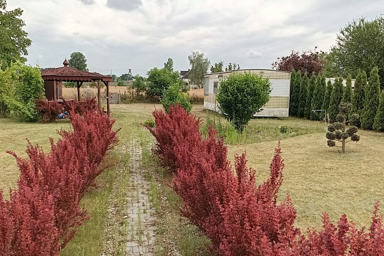 zdjecie ogloszenia