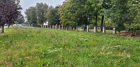 Tężnia w Kiernozi – inwestycja marzeń czy błąd? 