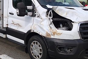 Rozbite auto dostarczało towary. Inspektorzy w szoku - 330253