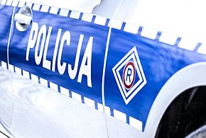 Łoś wybiegł na jezdnię. Poranne zdarzenie na DK70-330467