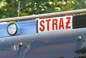Gmina Łyszkowice. Strażacy interweniowali w Bobrowej. Co się stało?-331458