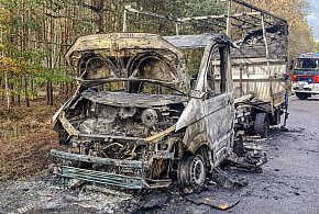 Okolice Łowicza. Gorąco na DK 70. Ten pożar mógł zakończyć się tragicznie-331626