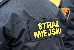 Zapuka strażnik, zapłacisz karę. Ruszyły kontrole w całej Polsce-331735