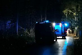 Gmina Głowno. Wypadek w Piaskach Rudnickich. Poszkodowane trzy osoby-332172