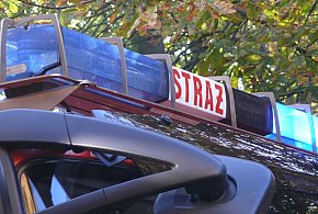 Corolla w rowie, na pomoc ruszyli strażacy-332258