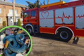 Wąż na Zamkowej w Łowiczu. Szybka interwencja strażaków-332513