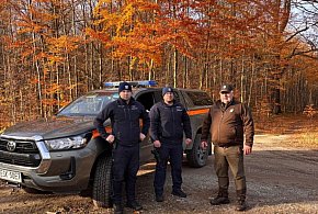 Nielegalne stroiki na groby. Mundurowi kontrolowali lasy przed Wszystkimi Świętymi-332648