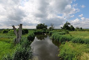 Co dalej z nowym parkiem narodowym? Minister klimatu zdradza plan po wecie-333155