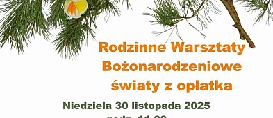 Łowicz. Rodzinne Warsztaty Bożonarodzeniowe-4850