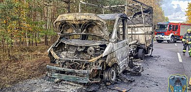 Okolice Łowicza. Gorąco na DK 70. Ten pożar mógł zakończyć się tragicznie-331626