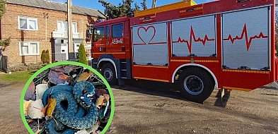 Wąż na Zamkowej w Łowiczu. Szybka interwencja strażaków-332513