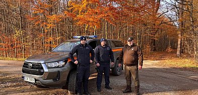 Nielegalne stroiki na groby. Mundurowi kontrolowali lasy przed Wszystkimi Świętymi-332648