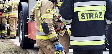 Interwencje straży pożarnej. Powalone drzewa i pomoc dla ZRM-333897