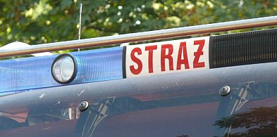 Nocna interwencja straży w gminie Bielawy. Na miejscu cztery zastępy-331689