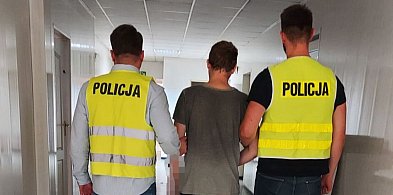 Internetowy oszust w rękach policjantów-331863