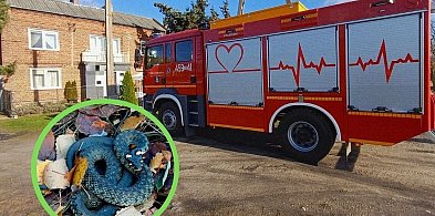 Wąż na Zamkowej w Łowiczu. Szybka interwencja strażaków-332513