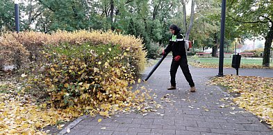 Wita Was Łowiczanin.info! 103 lata temu odkryto grobowiec Tutanchamona-332633