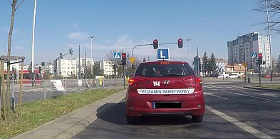 Jak ze zdawalnością na prawo jazdy w WORD Skierniewice i Kutno? SPRAWDZAMY-332924