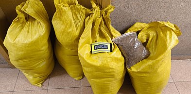 Czarne worki pełne papierosów. Policjanci rozbili tytoniowy magazyn-333368