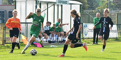 Kolejna porażka Pelikana-2012 -330411