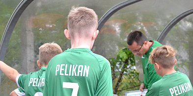Sukces Pelikana-2014-330539