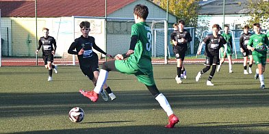 Pelikan-2012 walczył do końca-332423