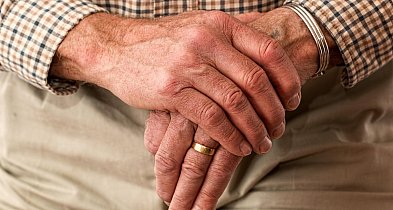 Fala odwołań do sądów. Seniorzy walczą o ieniądze z ZUS-329979