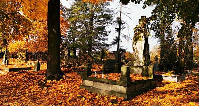 Łowicz. Czas sprzątania na cmentarzach. Na tym możemy to zrobić wspólnie-331245