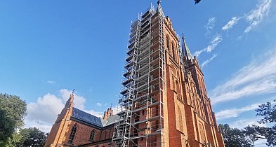 Tutaj pracują na wysokości nawet 50 metrów. I ludzie na to nie żałują-331602