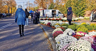 Łowicz. Nie pojeździsz autem w sąsiedztwie cmentarzy!-332264