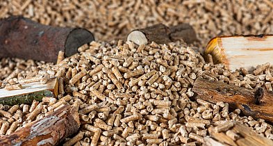 Drożeje popularny opał. Miliony Polaków odczują podwyżki tej zimy-332437