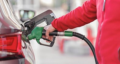 Tuż przed Wszystkimi Świętymi drożeją paliwa. Jak jest na stacjach w Łowiczu?-332429