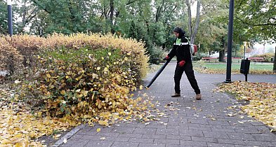Wita Was Łowiczanin.info! 103 lata temu odkryto grobowiec Tutanchamona-332633
