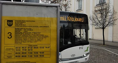 Na czym polega taryfa przystankowa w Łodzi. Przyjmie się w Łowiczu?-332810