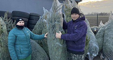 Dwie akcje: najpierw rozdadzą drzewka do ogrodu, potem do salonu-333720