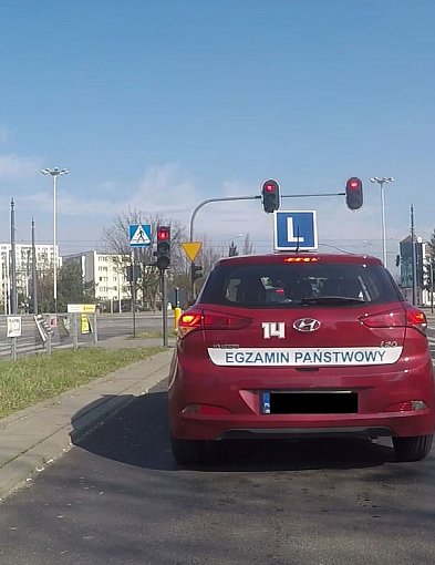 Jak ze zdawalnością na prawo jazdy w WORD Skierniewice i Kutno? SPRAWDZAMY-332924